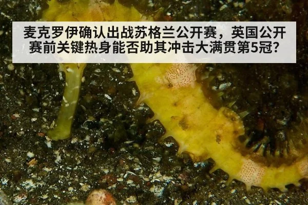 麦克罗伊确认出战苏格兰公开赛，英国公开赛前关键热身能否助其冲击大满贯第5冠？