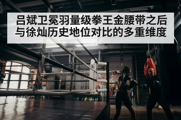 boxer training